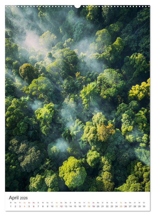 Magie der Natur (CALVENDO Wandkalender 2026)