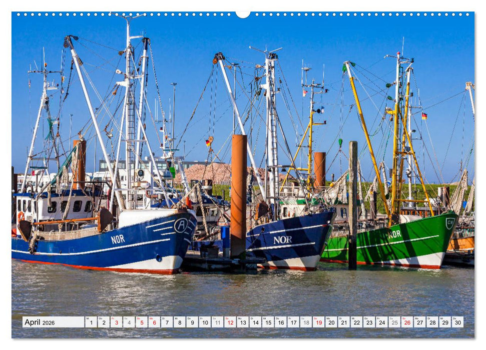 An der Nordsee, Urlaub im Norden Deutschlands (CALVENDO Wandkalender 2026)