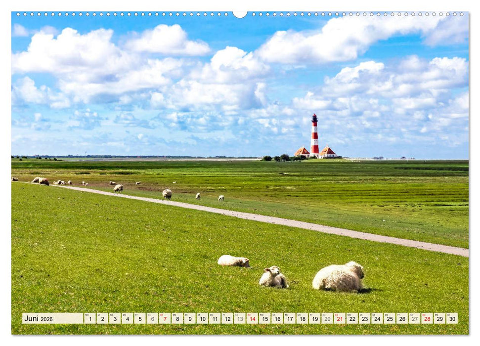 Der schöne Norden Deutschlands (CALVENDO Wandkalender 2026)