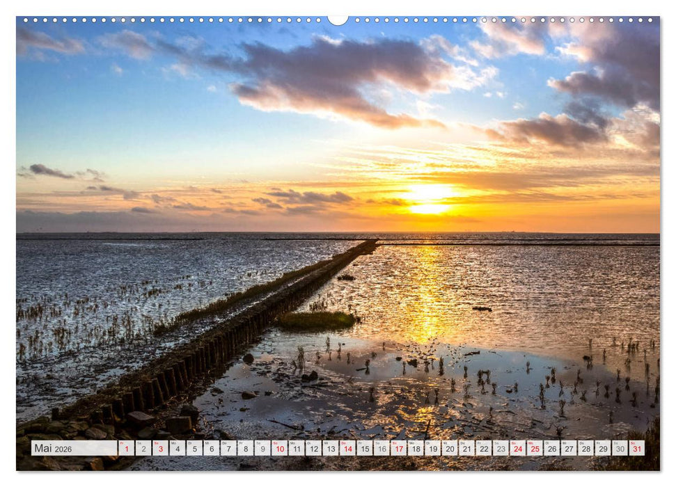 OSTFRIESLAND Wundervolle Halbinsel am Wattenmeer (CALVENDO Wandkalender 2026)