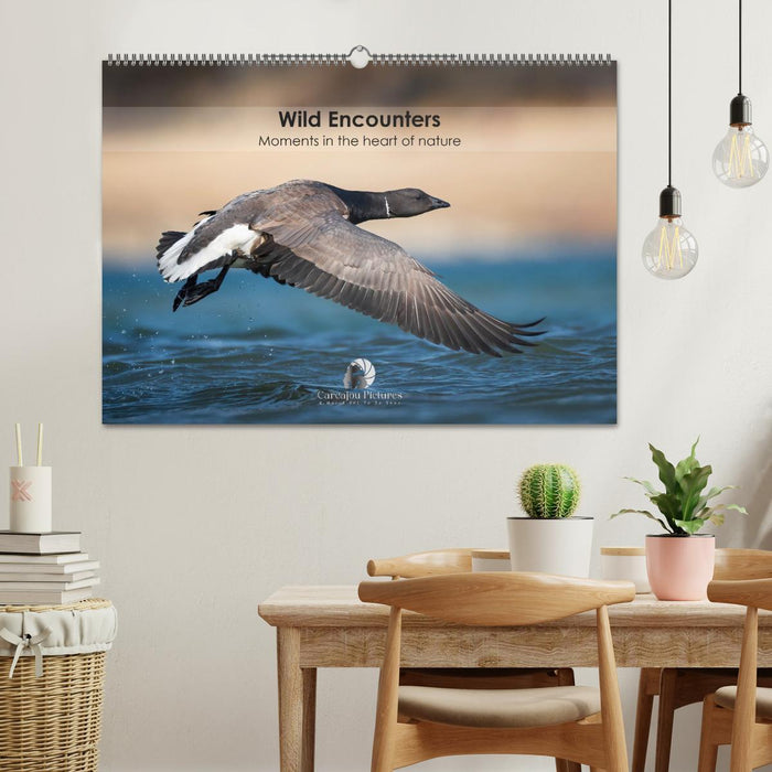 Wild encounters – Moments in the heart of nature (CALVENDO Monthly Calendar 2026)