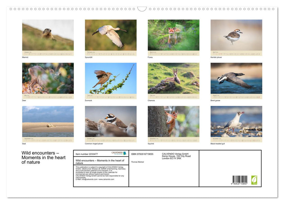 Wild encounters – Moments in the heart of nature (CALVENDO Monthly Calendar 2026)