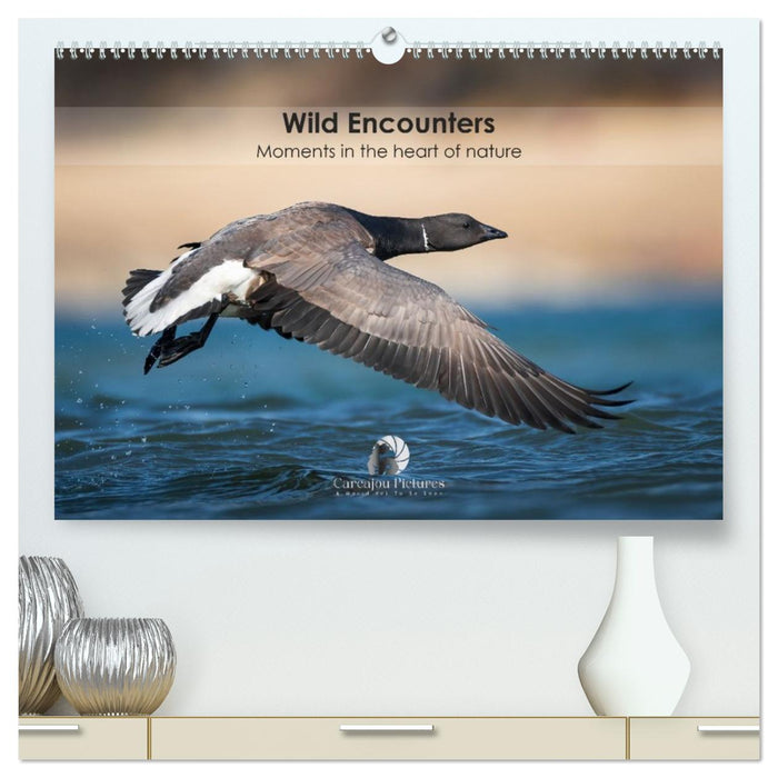 Wild encounters – Moments in the heart of nature (CALVENDO Premium-Calendar 2026)