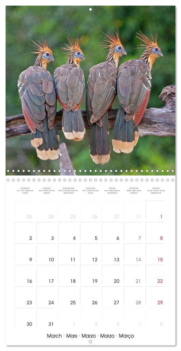 Peru - Lima - Andes - Amazon Basin (CALVENDO Monthly Calendar 2026)