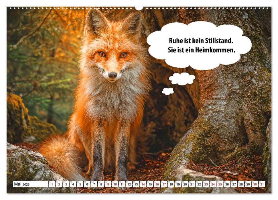 Stille Pfoten, weise Worte - Tiere zeigen dir den Weg zu mehr Gelassenheit (CALVENDO Wandkalender 2026)