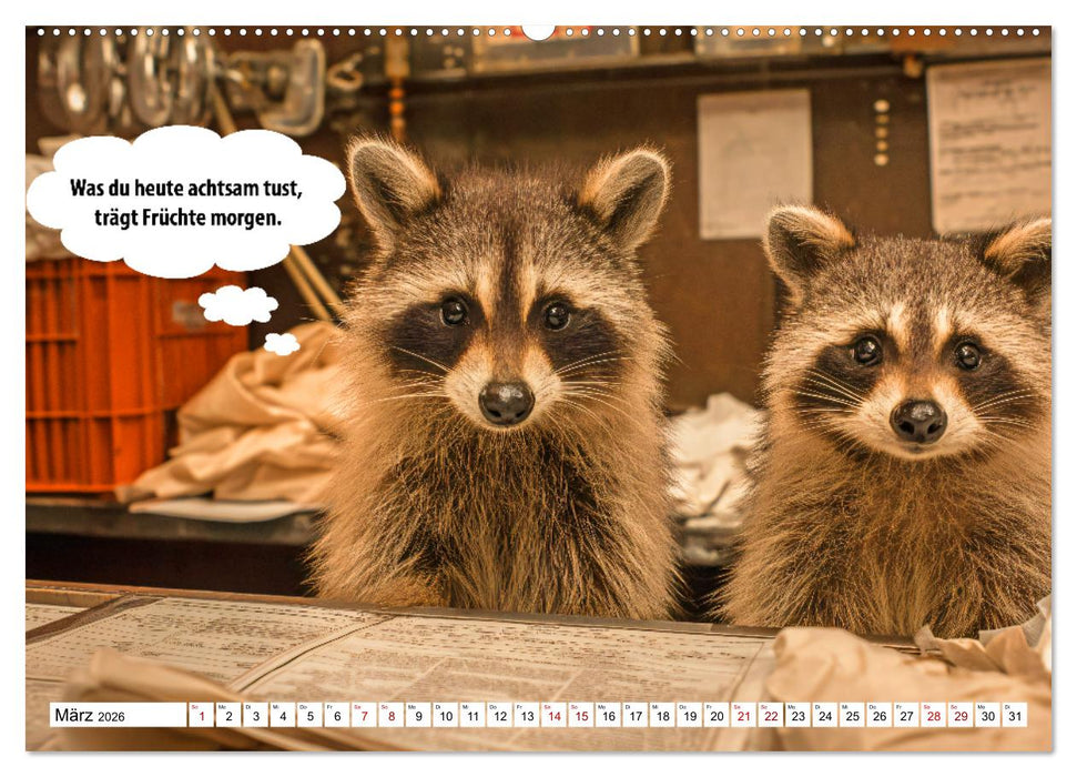 Stille Pfoten, weise Worte - Tiere zeigen dir den Weg zu mehr Gelassenheit (CALVENDO Premium Wandkalender 2026)