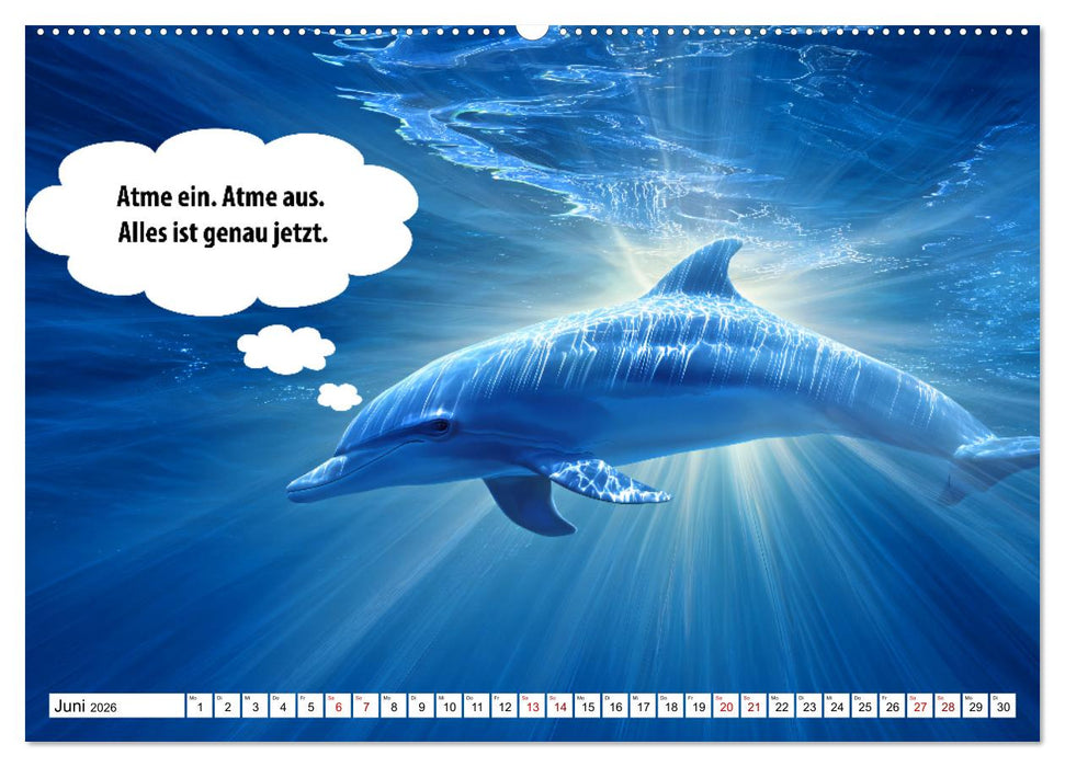 Stille Pfoten, weise Worte - Tiere zeigen dir den Weg zu mehr Gelassenheit (CALVENDO Premium Wandkalender 2026)