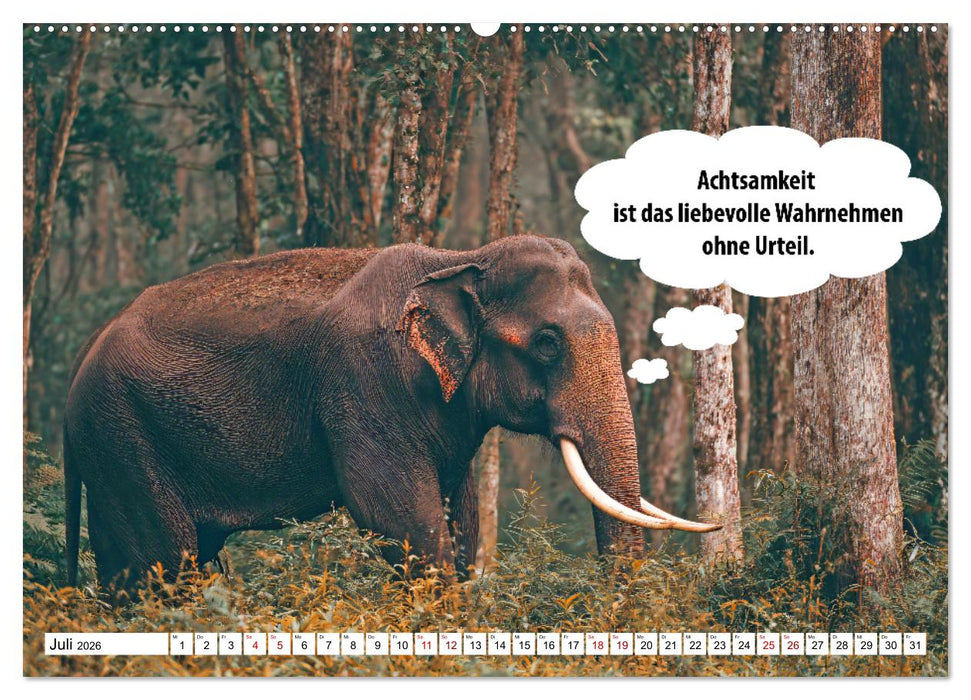 Stille Pfoten, weise Worte - Tiere zeigen dir den Weg zu mehr Gelassenheit (CALVENDO Premium Wandkalender 2026)