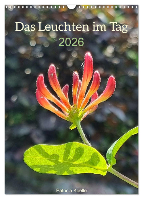 Das Leuchten im Tag (CALVENDO Wandkalender 2026)