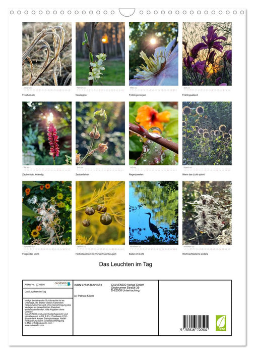 Das Leuchten im Tag (CALVENDO Wandkalender 2026)