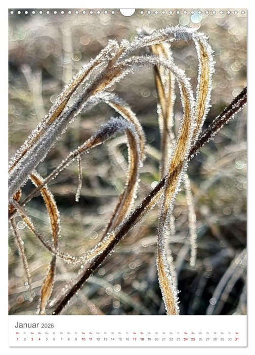 Das Leuchten im Tag (CALVENDO Wandkalender 2026)