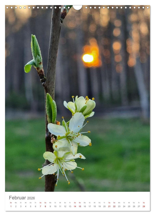 Das Leuchten im Tag (CALVENDO Wandkalender 2026)