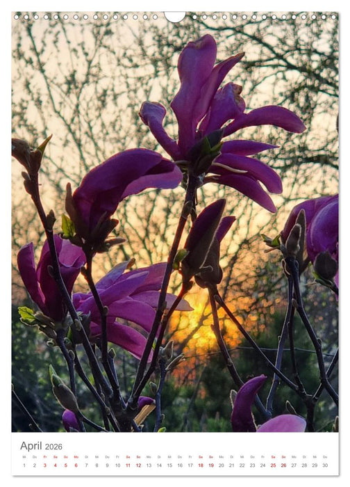 Das Leuchten im Tag (CALVENDO Wandkalender 2026)