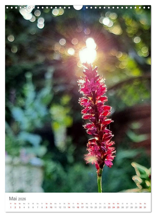 Das Leuchten im Tag (CALVENDO Wandkalender 2026)