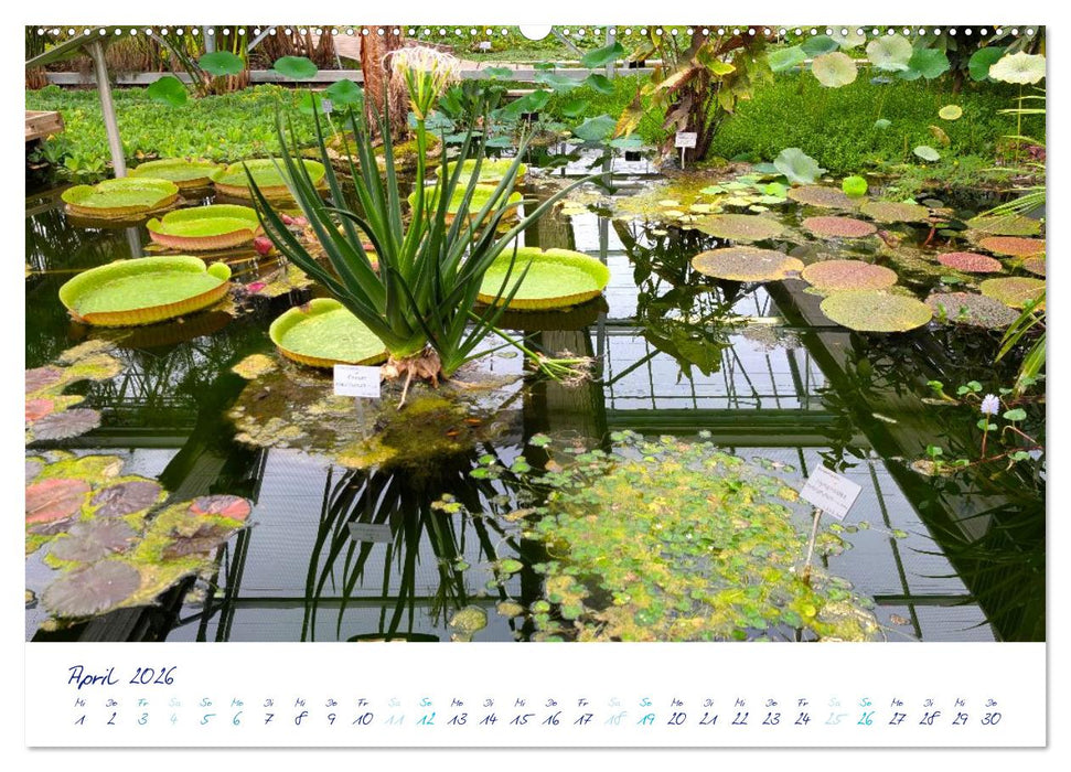 Le Havre - Perle an der Seinemündung (CALVENDO Premium Wandkalender 2026)