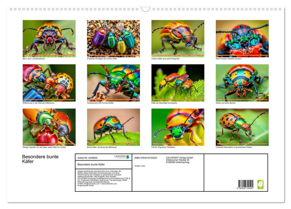 Besondere bunte Käfer (CALVENDO Wandkalender 2026)