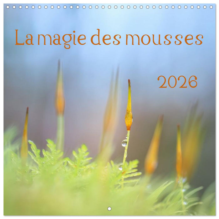 La magie des mousses (CALVENDO Calendrier mensuel 2026)