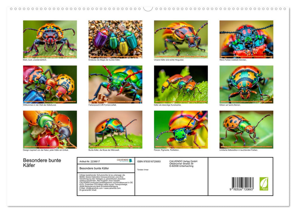 Besondere bunte Käfer (CALVENDO Premium Wandkalender 2026)