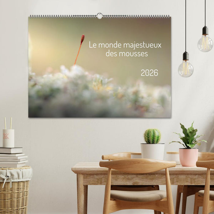 Le monde majestueux des mousses (CALVENDO Calendrier mensuel 2026)