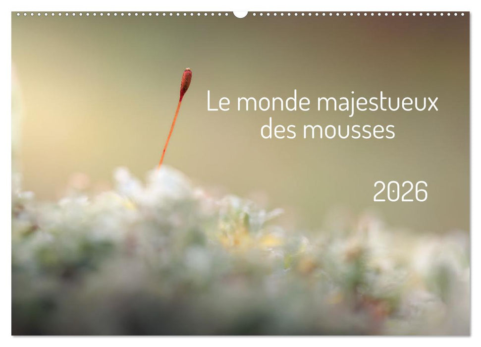 Le monde majestueux des mousses (CALVENDO Calendrier mensuel 2026)