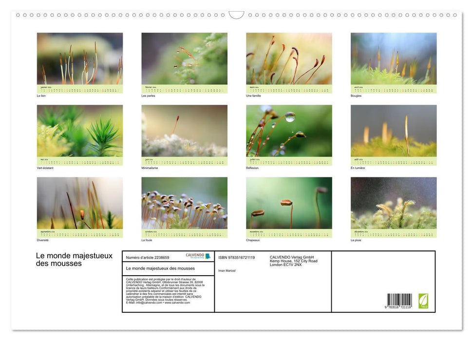 Le monde majestueux des mousses (CALVENDO Calendrier mensuel 2026)