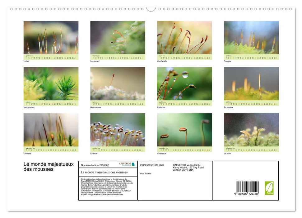 Le monde majestueux des mousses (CALVENDO Calendrier supérieur 2026)