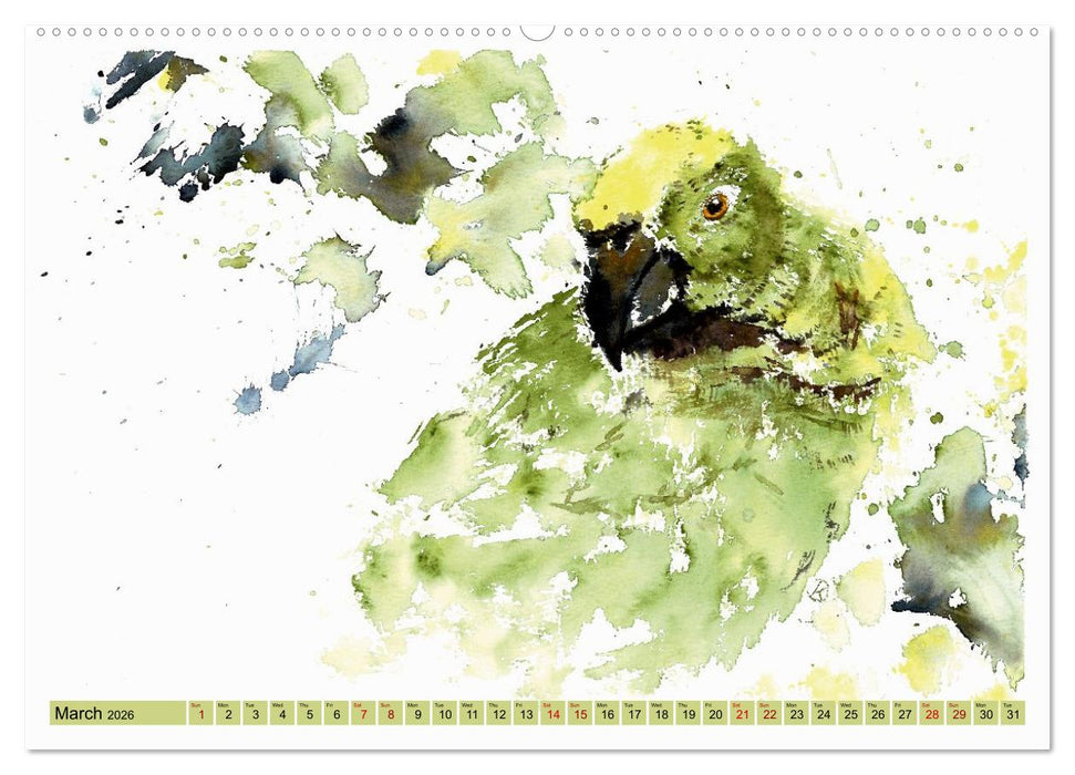 The Fascinating World of Birds in Watercolour (CALVENDO Monthly Calendar 2026)