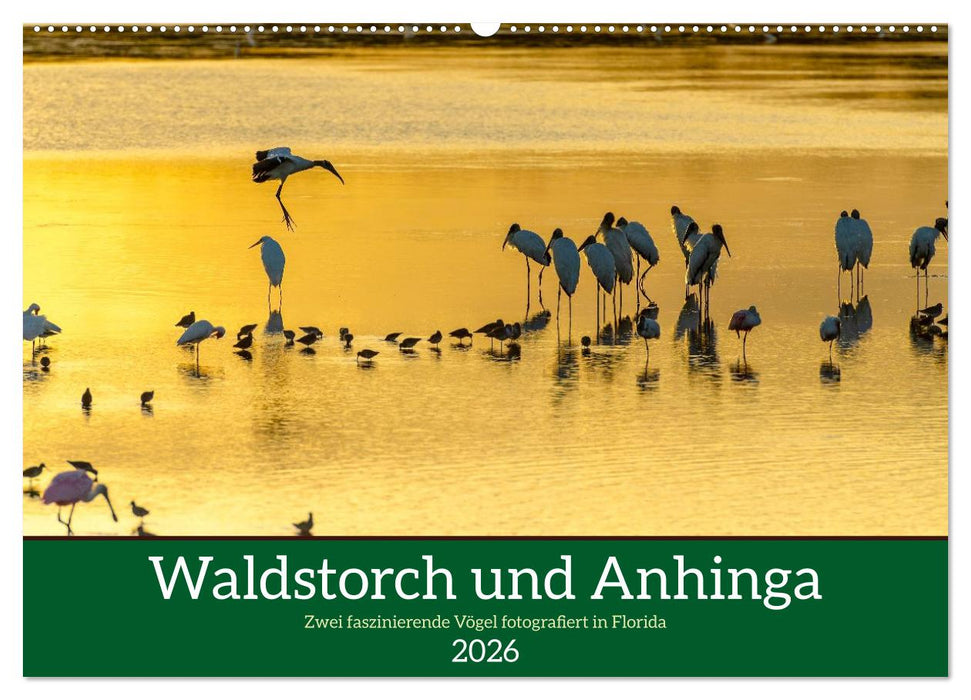 Waldstorch und Anhinga (CALVENDO Wandkalender 2026)