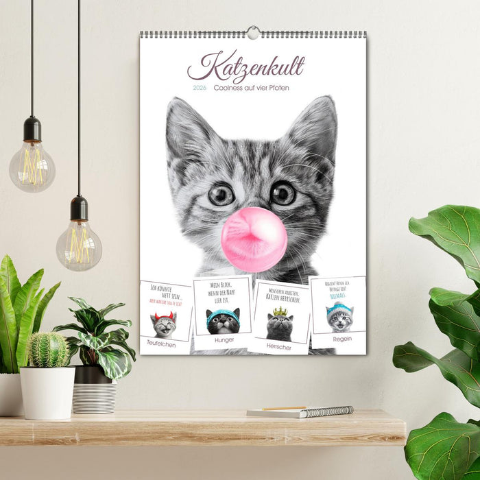 Katzenkult - Coolness auf vier Pfoten (CALVENDO Wandkalender 2026)