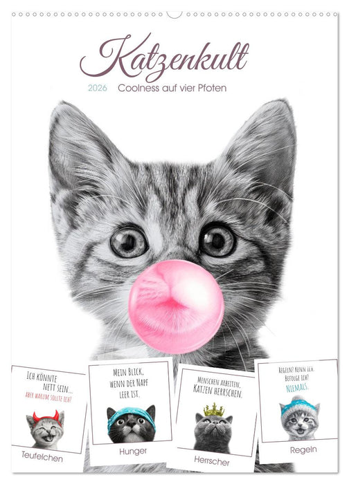 Katzenkult - Coolness auf vier Pfoten (CALVENDO Wandkalender 2026)