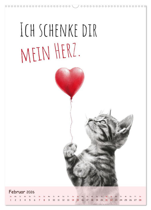 Katzenkult - Coolness auf vier Pfoten (CALVENDO Wandkalender 2026)