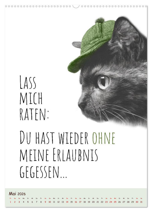 Katzenkult - Coolness auf vier Pfoten (CALVENDO Wandkalender 2026)