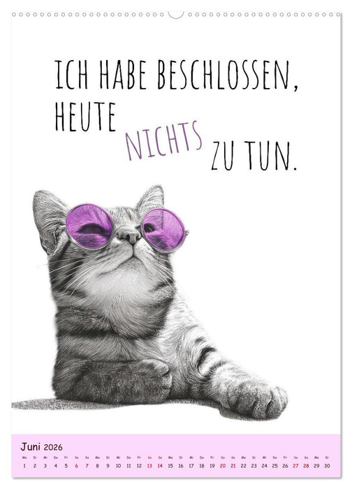 Katzenkult - Coolness auf vier Pfoten (CALVENDO Wandkalender 2026)