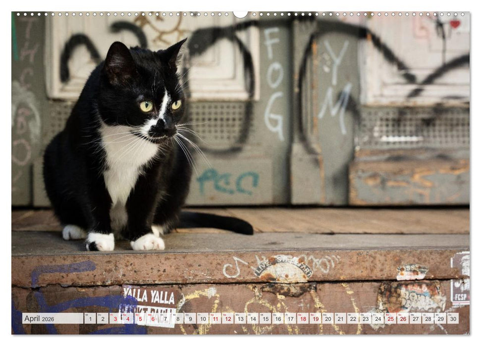 Buntes Hamburg (CALVENDO Wandkalender 2026)