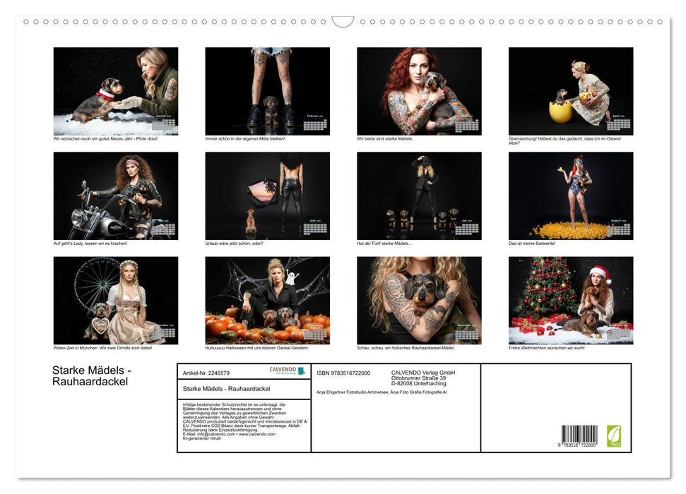 Starke Mädels - Rauhaardackel (CALVENDO Wandkalender 2026)