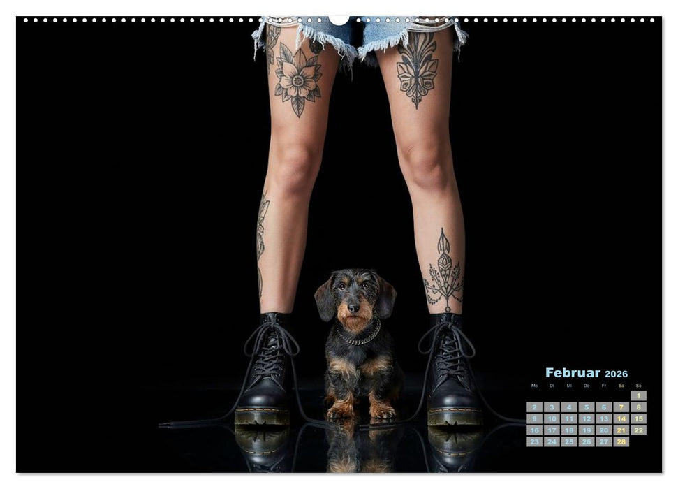 Starke Mädels - Rauhaardackel (CALVENDO Wandkalender 2026)