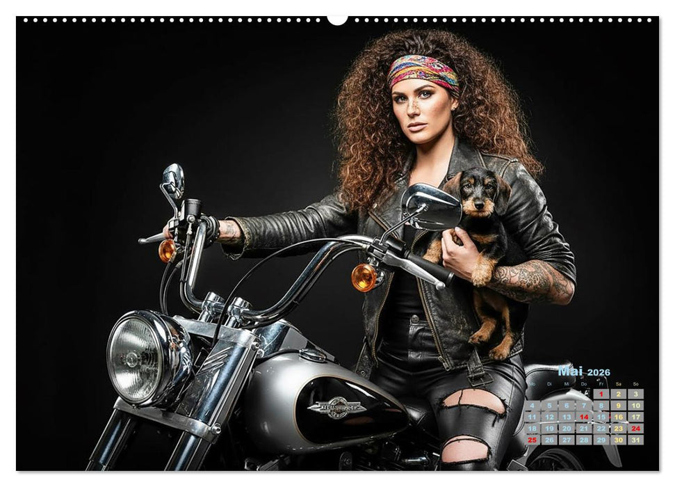 Starke Mädels - Rauhaardackel (CALVENDO Wandkalender 2026)