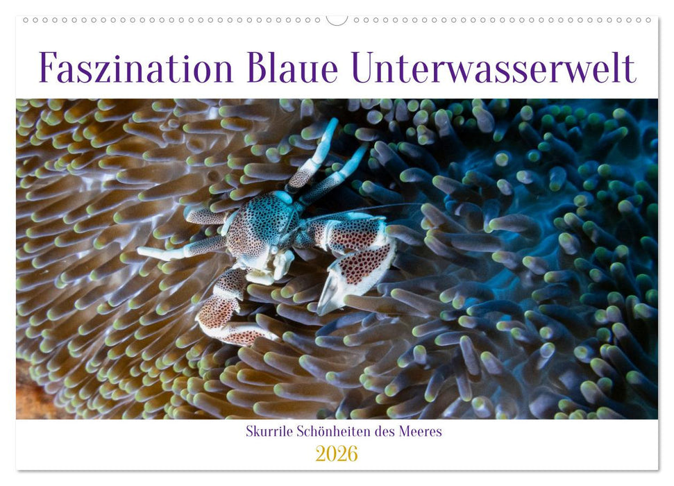 Faszination blaue Unterwasserwelt (CALVENDO Wandkalender 2026)