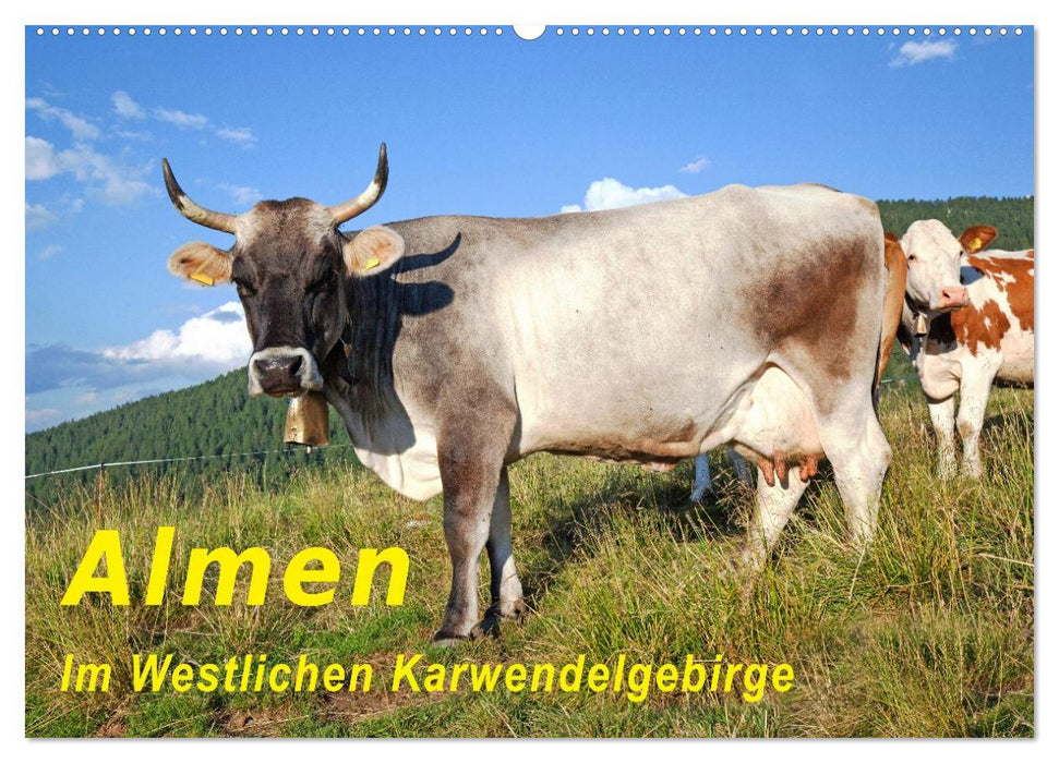 Almen im Westlichen Karwendelgebirge (CALVENDO Wandkalender 2026)