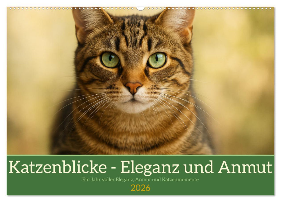 Katzenblicke – Eleganz und Anmut (CALVENDO Wandkalender 2026)
