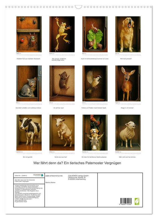 Wer fährt denn da? Ein tierisches Paternoster Vergnügen (CALVENDO Wandkalender 2026)