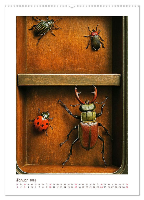 Wer fährt denn da? Ein tierisches Paternoster Vergnügen (CALVENDO Wandkalender 2026)