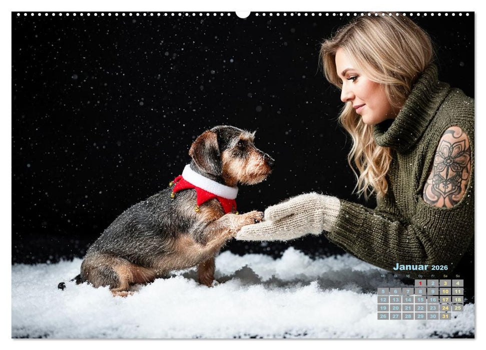 Starke Mädels - Rauhaardackel (CALVENDO Premium Wandkalender 2026)