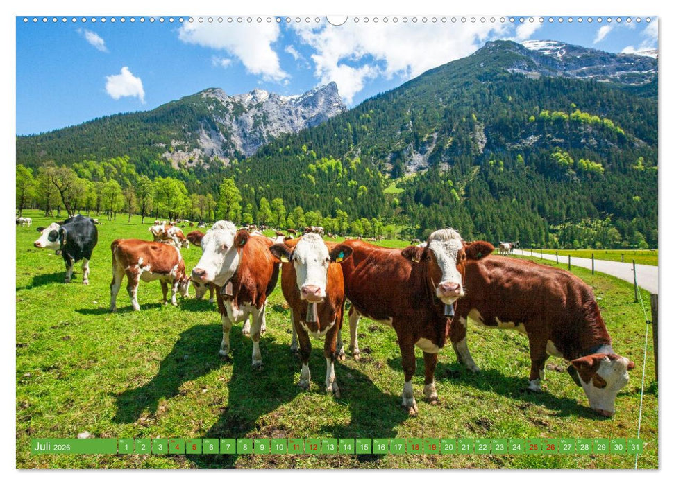 Almen im Westlichen Karwendelgebirge (CALVENDO Premium Wandkalender 2026)
