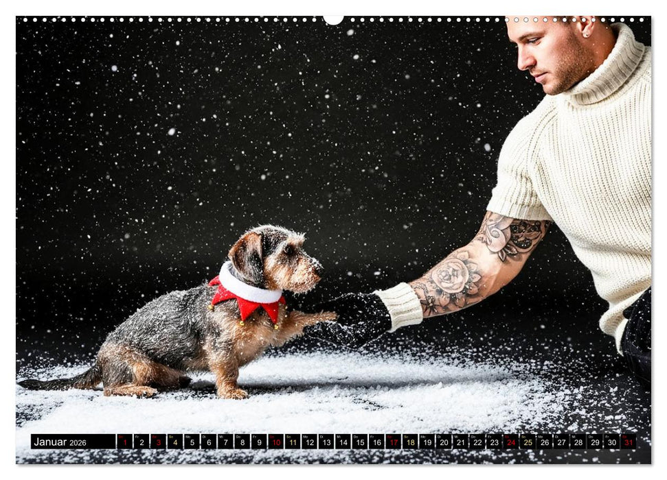 Coole Typen - Rauhaardackel (CALVENDO Premium Wandkalender 2026)