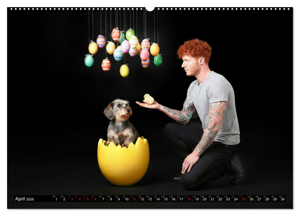 Coole Typen - Rauhaardackel (CALVENDO Premium Wandkalender 2026)