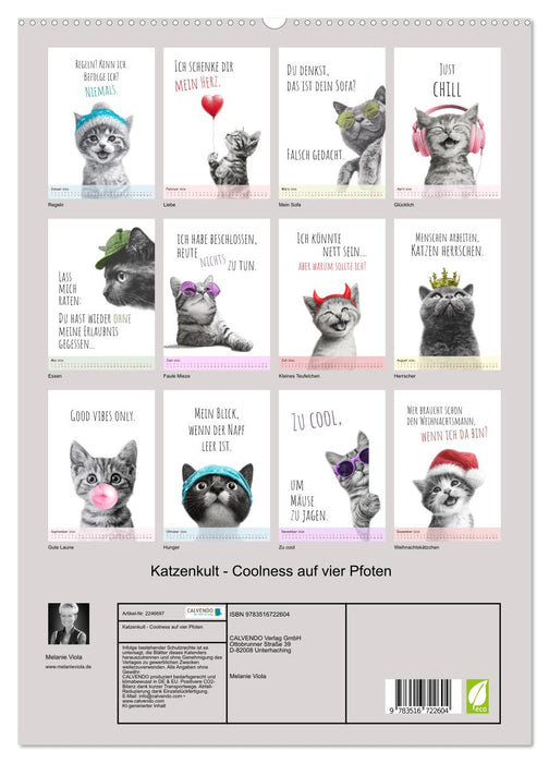 Katzenkult - Coolness auf vier Pfoten (CALVENDO Premium Wandkalender 2026)