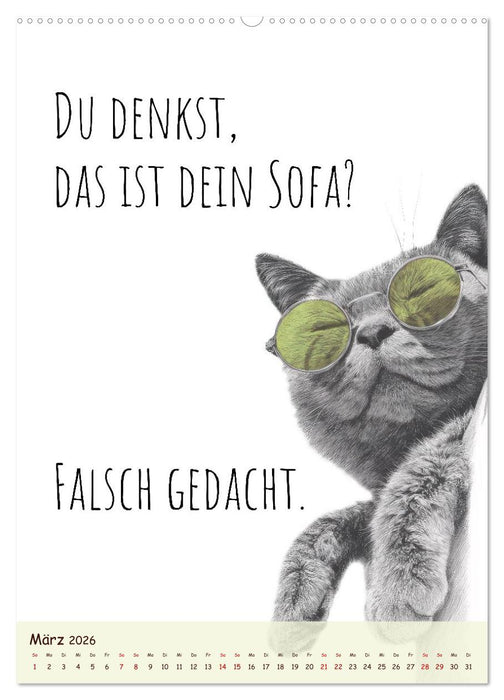 Katzenkult - Coolness auf vier Pfoten (CALVENDO Premium Wandkalender 2026)