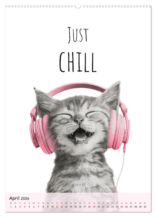 Katzenkult - Coolness auf vier Pfoten (CALVENDO Premium Wandkalender 2026)