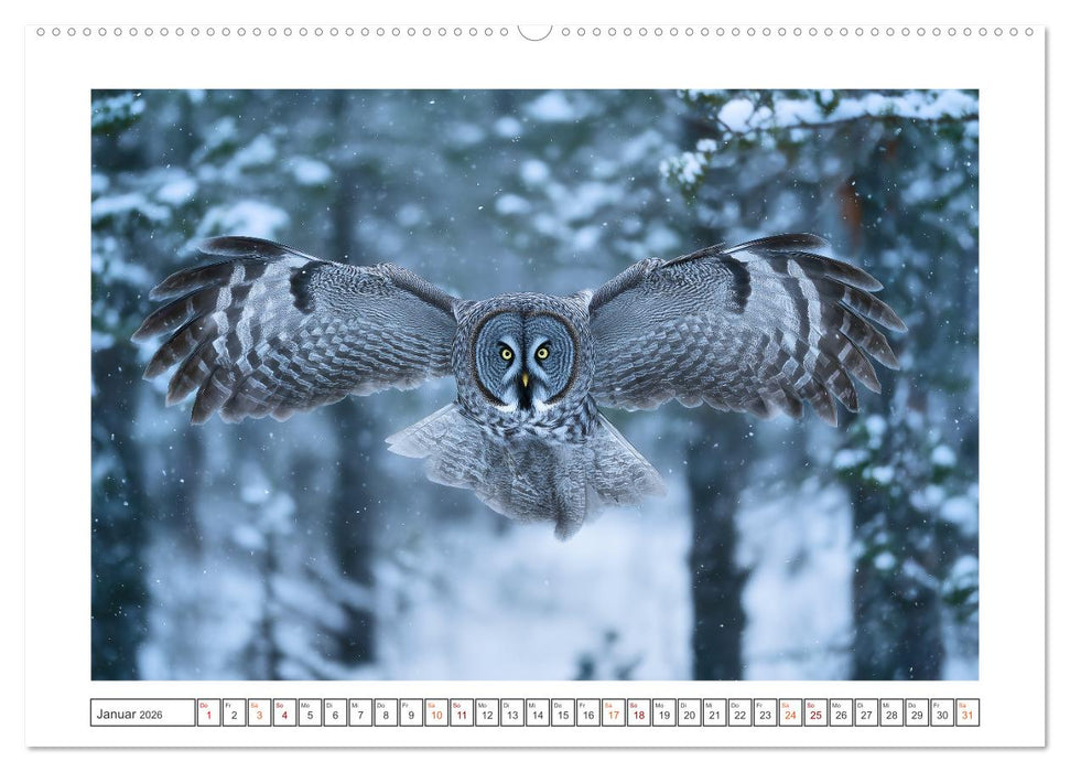 Magie der Wildnis (CALVENDO Premium Wandkalender 2026)